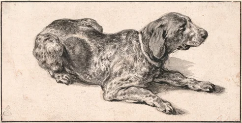 Perro reclinado